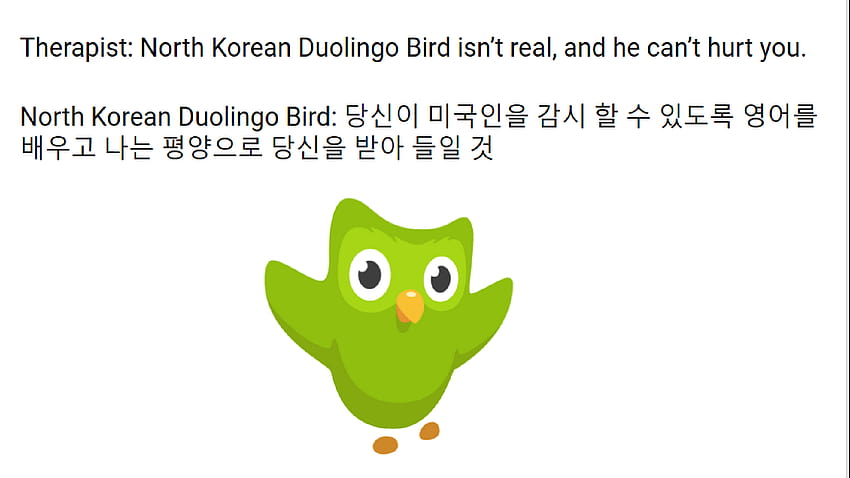 North Korean Duolingo Bird : memes, duolingo meme HD wallpaper