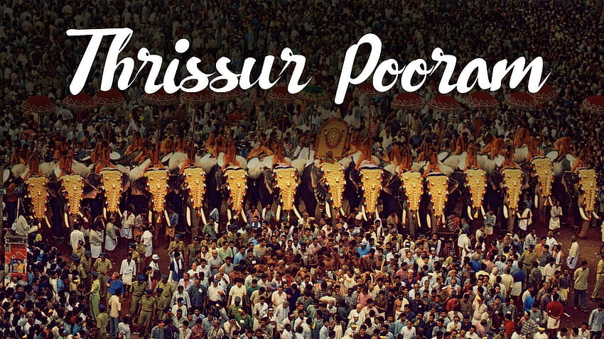 Thrissur Pooram, Fest der Feste HD-Hintergrundbild