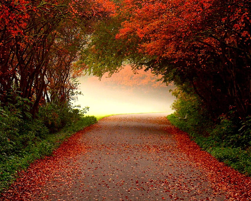 7 Backgrounds, fancy autumn HD wallpaper