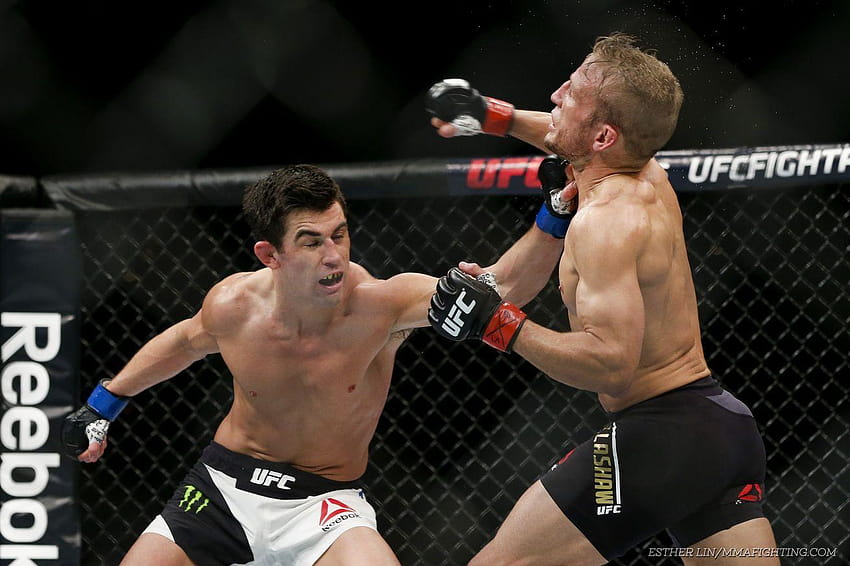 Video: Dominick Cruz Gives Hilarious Statement To TJ Dillashaw HD wallpaper