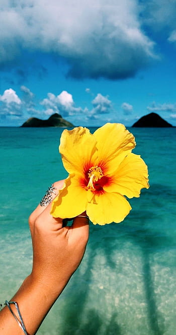 August Freebies Hawaiian Tropical Florals SmartPhone Wallpaper  Aug   Rare Breed Apparel Maui  HoneyXO Shop