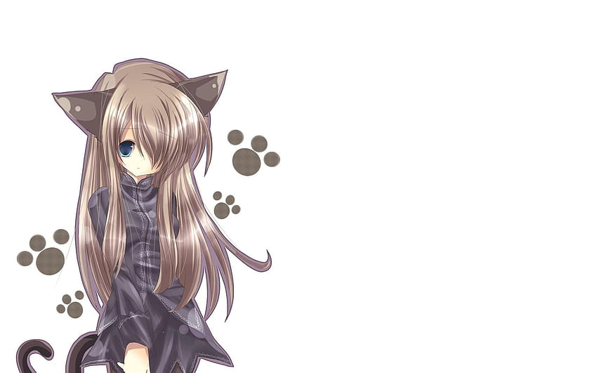 Gadis Kucing Gadis Seni Nekomimi Anime Luar Biasa, gadis kucing kawaii Wallpaper HD