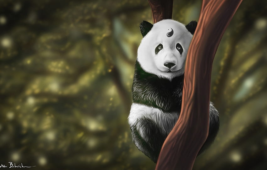 Tree, Look, Panda, Art, Yin and Yang, Kung Fu, Animal, Balance, Yin and Yang, At, Skadoosh, Sebastian Brborich, by Sebastian Brborich , section арт HD wallpaper
