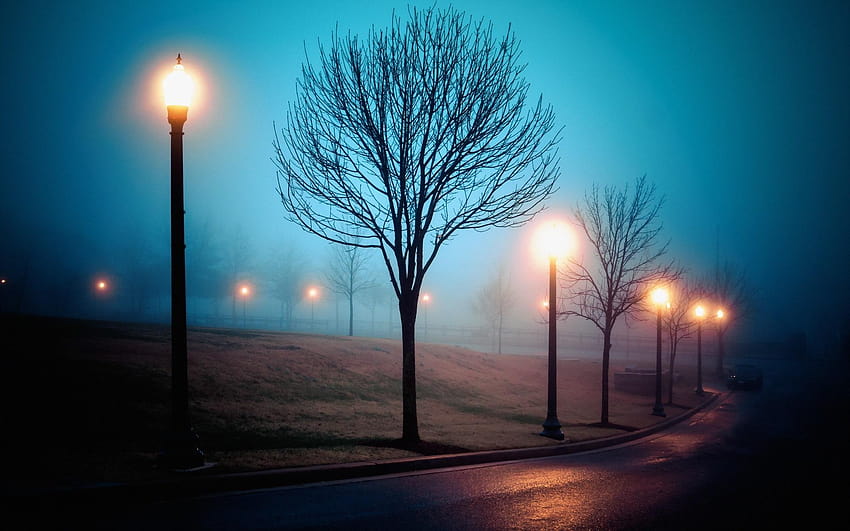 мъгла, град, улица, парк, светлини, нощ 1920x1200, вечер в парка HD тапет