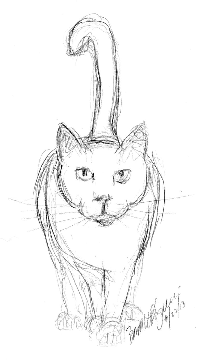 Easy Cat Drawings In Pencil HD phone wallpaper