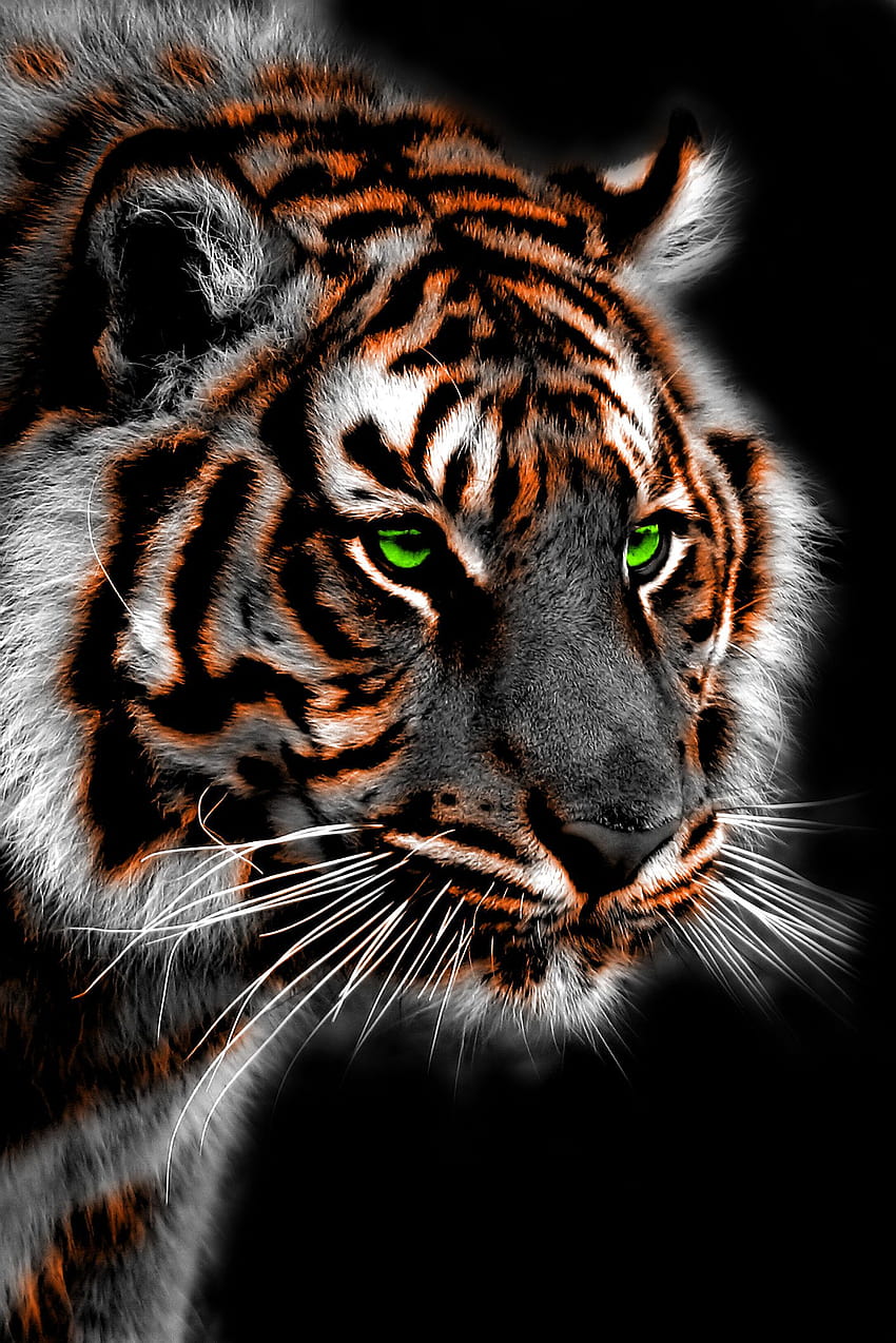 Spirit Tiger Oleh Blktig wallpaper ponsel HD