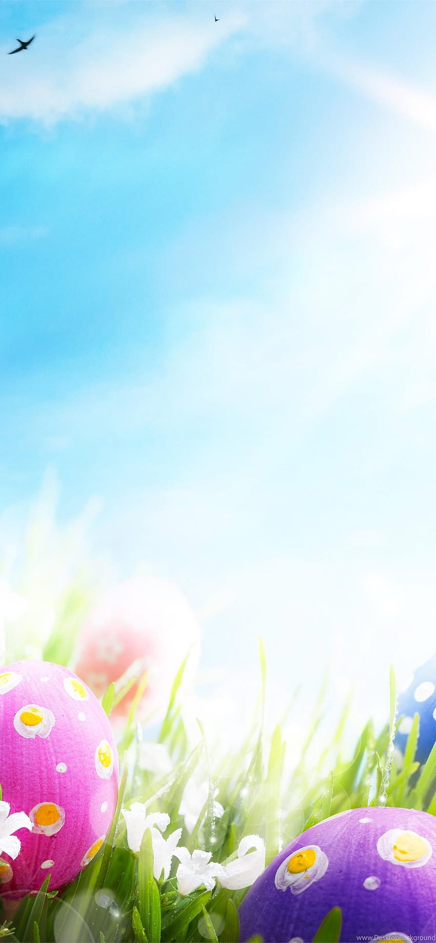 EASTER EGGS Backgrounds iPhone, pastel easter egg HD phone wallpaper