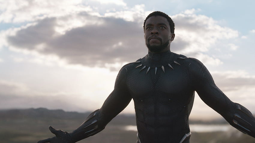 Black Panther star Chadwick Boseman dies at 43 from cancer, rip black panther HD wallpaper