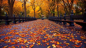 New england autumn HD wallpapers