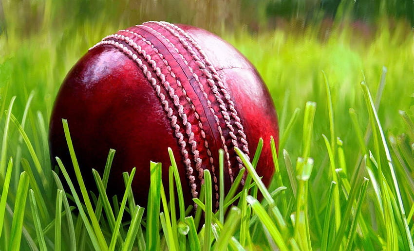 Cricketschläger HD-Hintergrundbild
