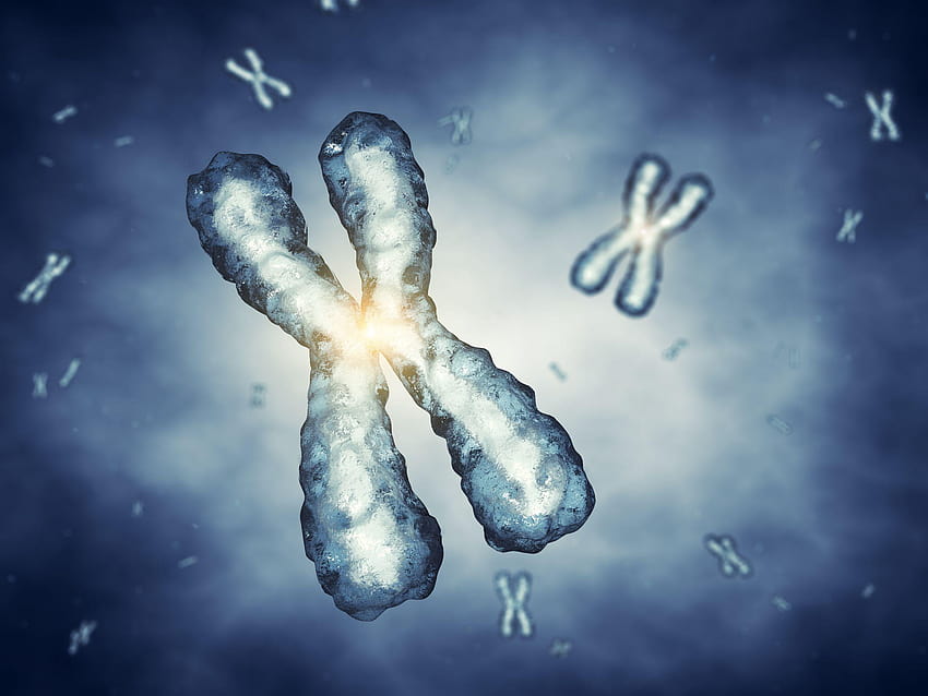 Schema del DNA del cromosoma genetico 3 Sfondo HD