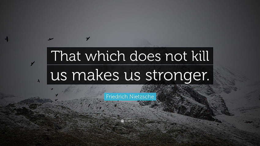 Friedrich Nietzsche Quote: “That which does not kill us makes us, best with quotations HD wallpaper