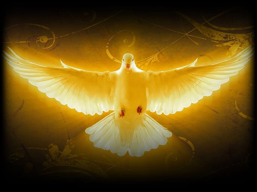 Of Holy Spirit, holy ghost HD wallpaper