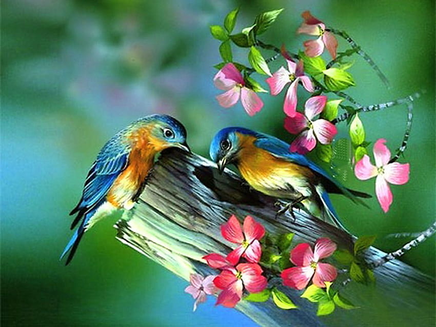 4 Spring Bird, spring birds HD wallpaper
