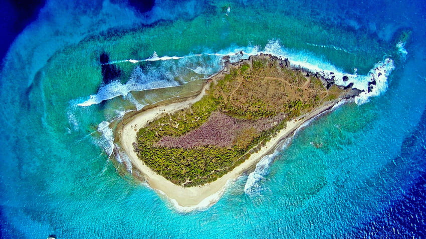 Sandy Cay, British Virgin Islands HD wallpaper