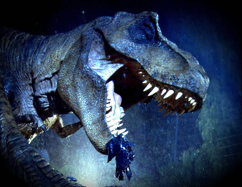 Jurassic Park, velociraptor biru Wallpaper HD