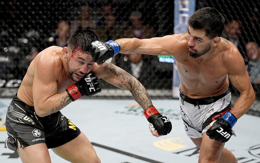 UFC 269: Pedro Munhoz starts off well, but loses to Dominick Cruz on points HD wallpaper