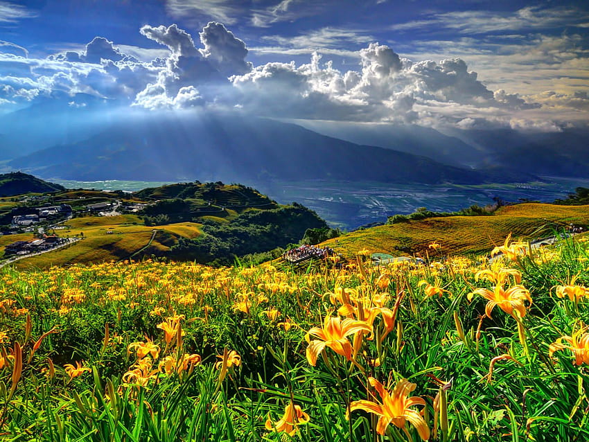 Spring Landscape Mountains Hills Lillies Yellow Flower Village Clouds Sky Nature For Mobile Phones 2560x1600 : 13, village spring flowers HD wallpaper