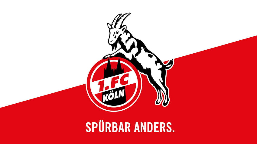 1. FC Köln, 1 fc koln HD wallpaper