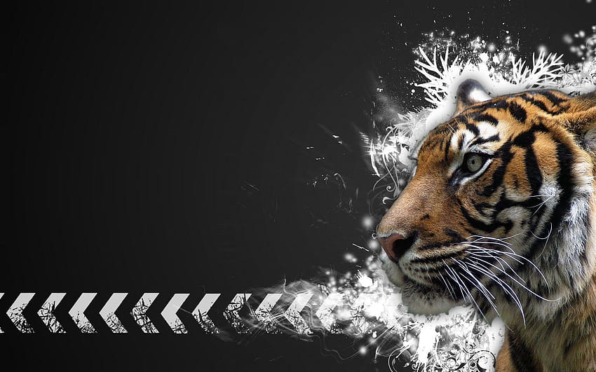cute tiger computer backgrounds HD wallpaper
