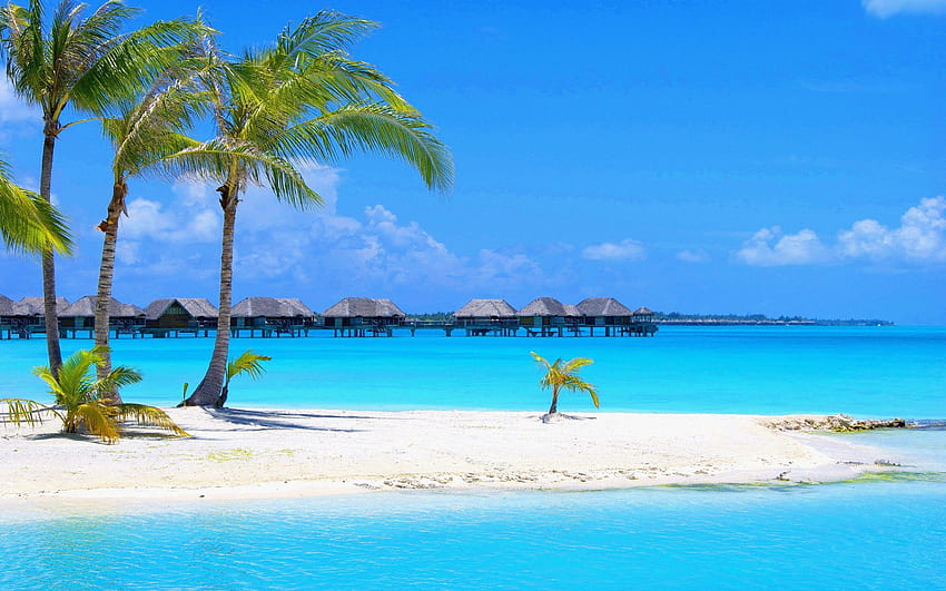 Playa Hermosa para Móvil Playas de Lujo Lujo fondo de pantalla | Pxfuel