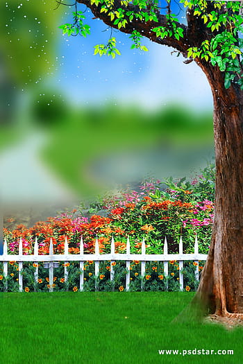 Beautiful Nature Wallpaper Free To Download - Roohdaar