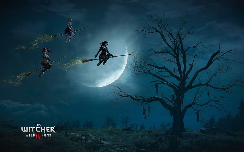 The Witcher 3 Wild Hunt Witches HD wallpaper