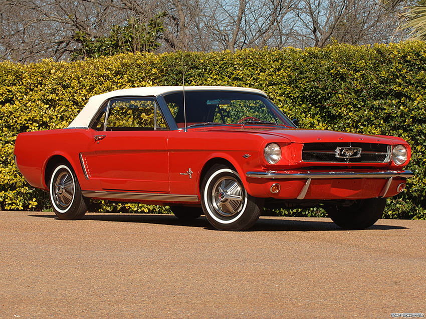 Ford Mustang Convertible 1964 auto, 1964 mustang HD wallpaper