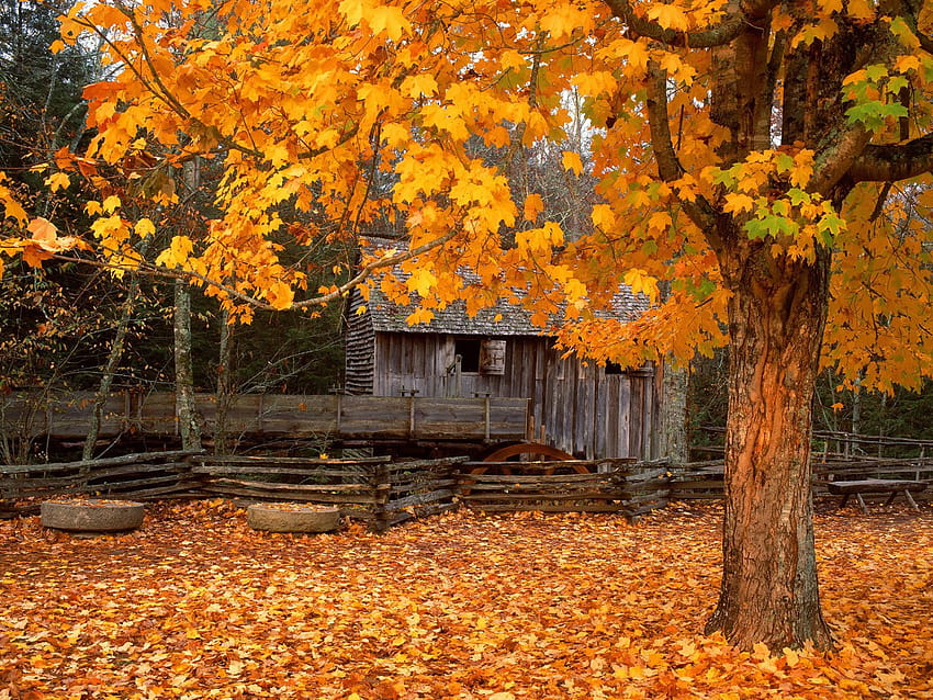 John Cable Mill Cades Cove Great Smoky Mountains National Park Tennessee, gatlinburg HD wallpaper