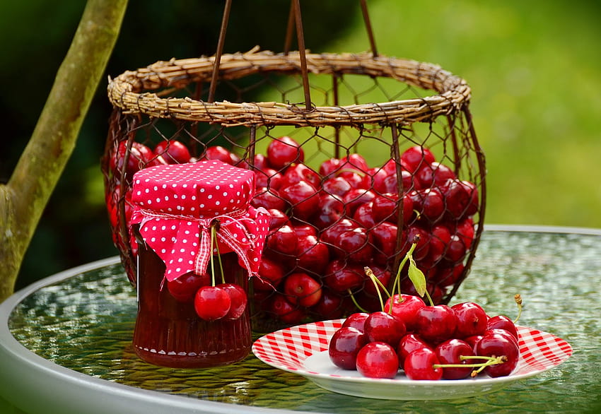 Cherries,fruits,sweet cherry,cherry jam,cherry harvest, cherry picking time HD wallpaper