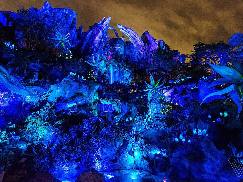 Visiting Pandora: a tour of Disney's new Avatar land, avatar 2 the way of  water HD wallpaper | Pxfuel