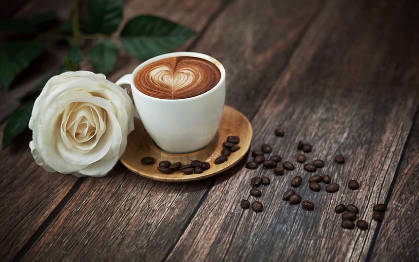 Rose, Latte Art, eine Tasse Kaffee mit einer Auflösung von 2560x1600. Hohe Qualität HD-Hintergrundbild