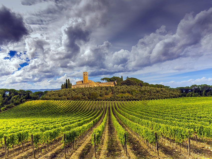 6 Tuscan Vineyard, tuscan vineyard village HD wallpaper