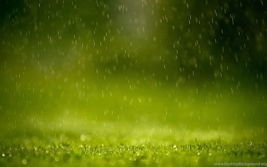 · Gallery · Windows 7 · Spring Warm Rain ... Backgrounds, warm spring HD wallpaper