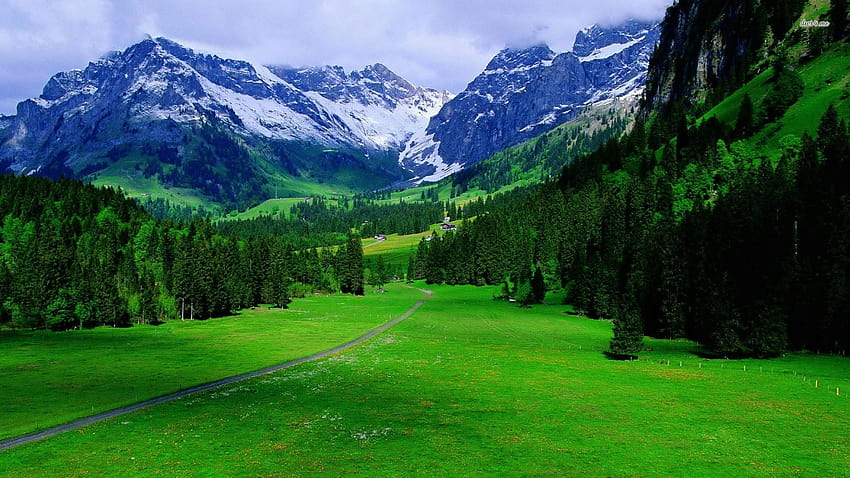 Швейцарски Алпи, швейцарски пейзаж HD тапет