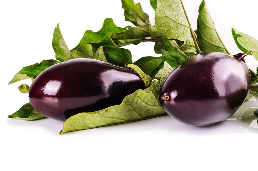 3107628 / background, blue, eggplant, harvest, isolated, leaves, natural, vegetables, vegetarian, white HD wallpaper