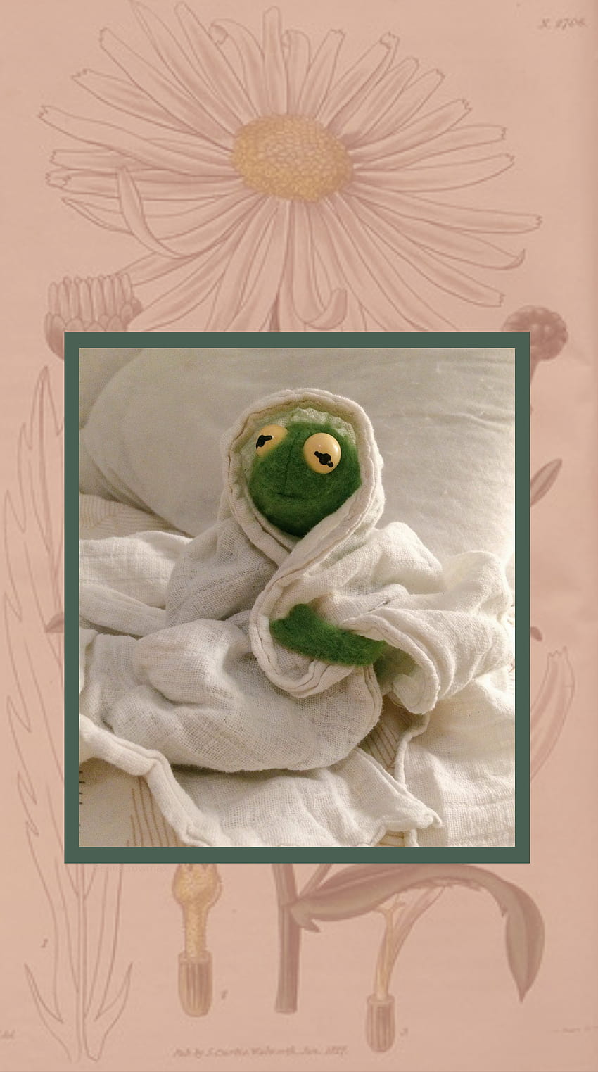 Aesthetic Kermit posted by John Peltier, kermit aesthetic HD phone wallpaper Aesthetic Kermit posted by John Peltier, kermit aesthetic HD phone wallpaper