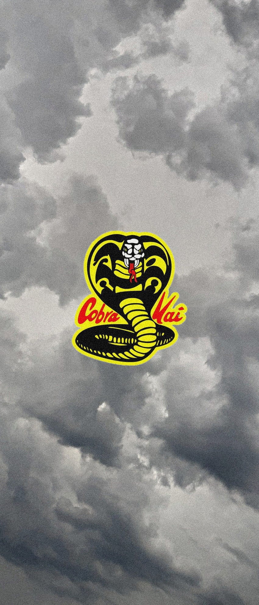 Cobra kai backgrounds HD wallpapers  Pxfuel