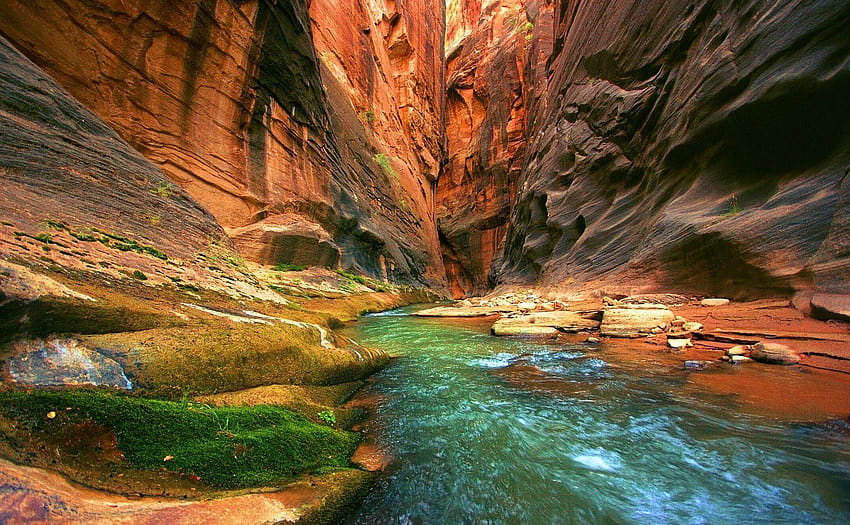Hiking the Narrows in Zion., Zion National Park papel de parede HD