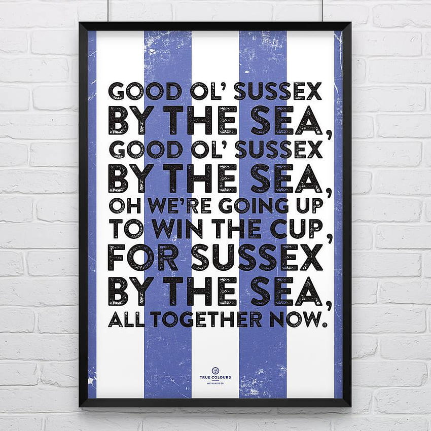 brighton and hove albion 'sussex' football song print by true HD phone wallpaper