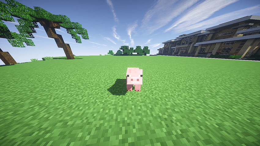 Minecraft Pig and Backgrounds, minecraft meme HD wallpaper