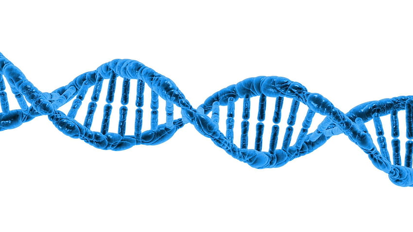 5 優れた遺伝子 DNA、遺伝性 高画質の壁紙