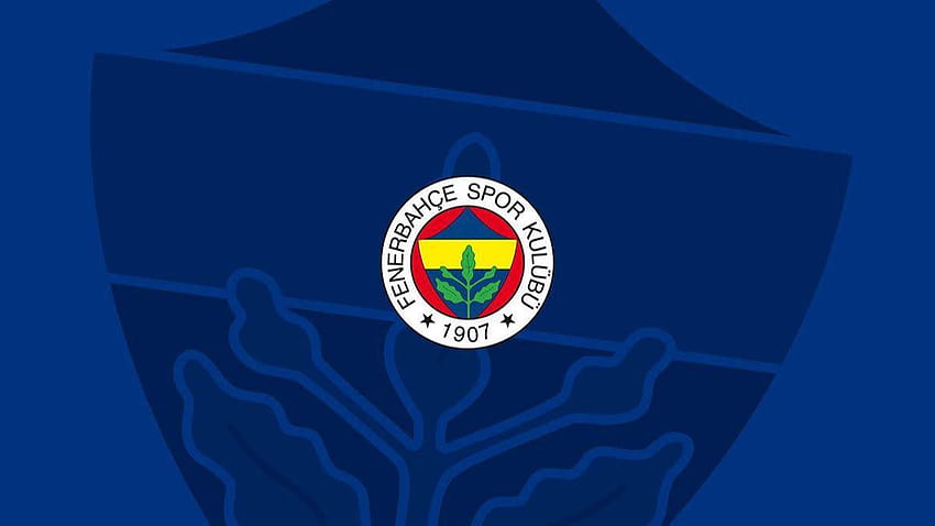 Non è prevista la vendita di biglietti combinati al Fenerbahçe in questa stagione., fenerbahce 2022 Sfondo HD