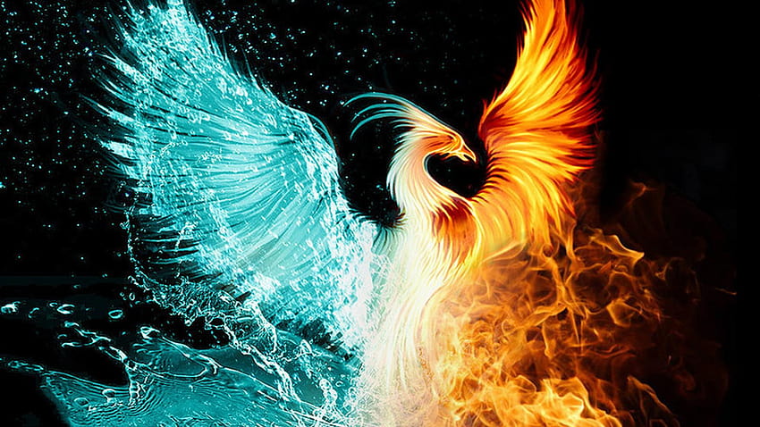 phoenix bird computer HD wallpaper