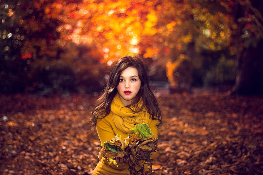 : sunlight, forest, fall, leaves, women outdoors, graphy, morning ...