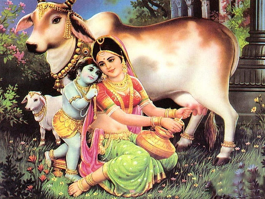 Bal Krishna Group, krishna with cow HD wallpaper | Pxfuel