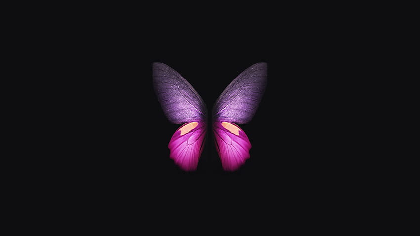 Samsung Galaxy Fold Butterfly, Artist, amoled nature HD wallpaper