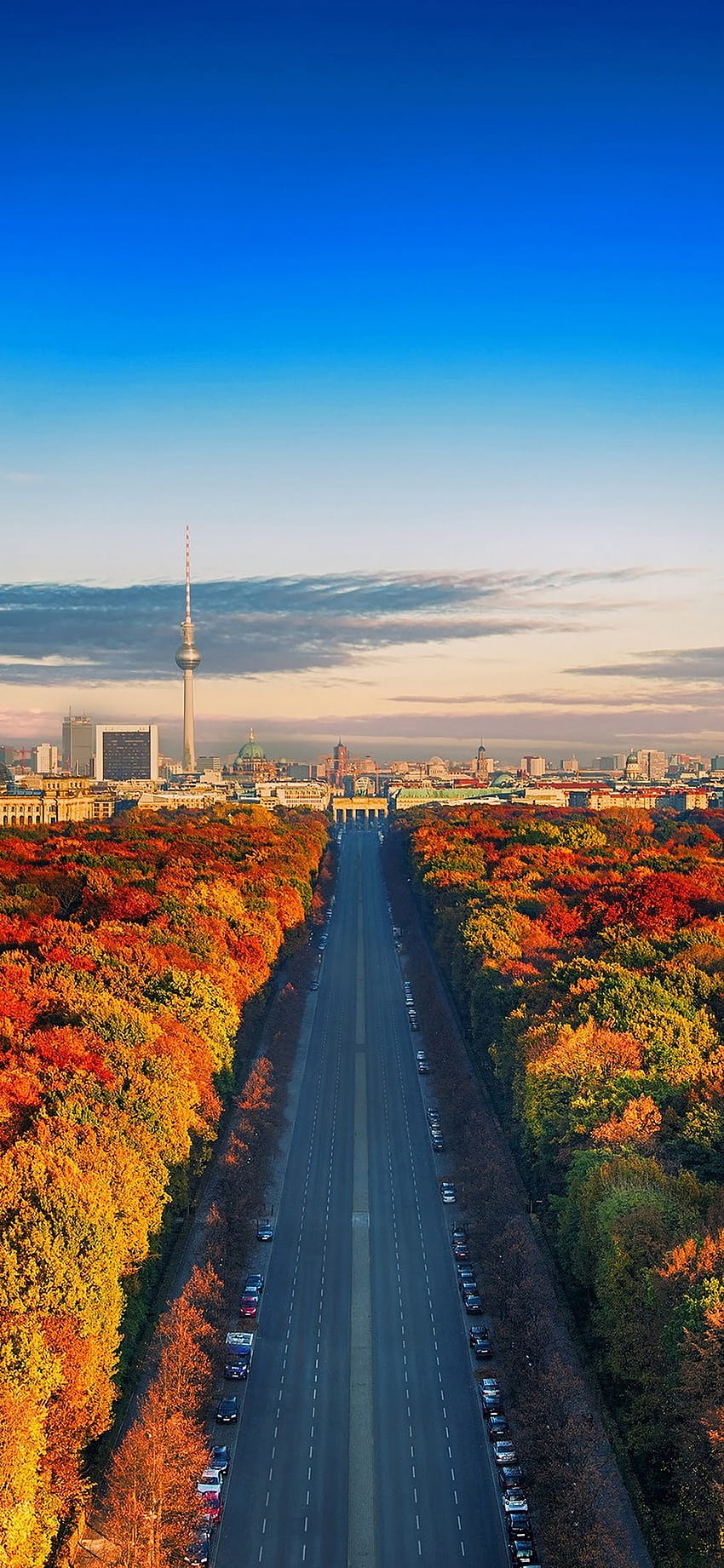 City Nature Landscape Forest Trees Autumn Sky Scenery, autumn city iphone HD phone wallpaper