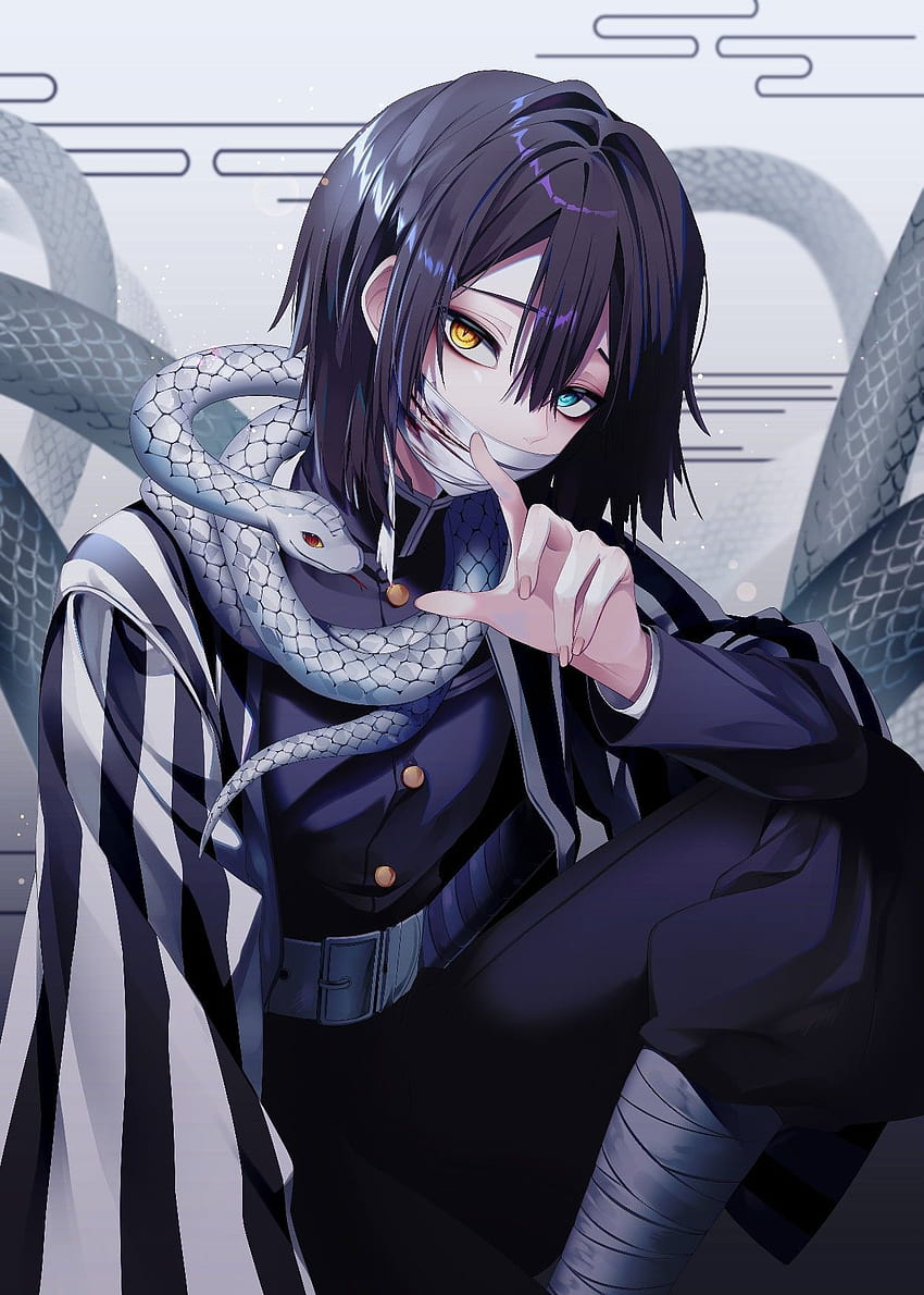 Obanai Iguro, snake hashira HD phone wallpaper