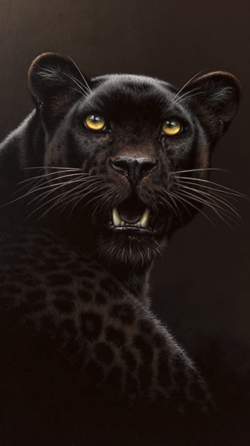 モバイル用の Black Cheetah、 HD電話の壁紙